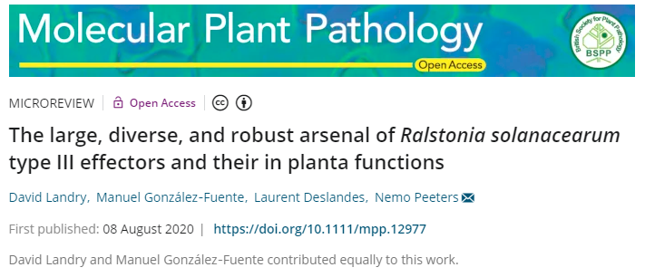 Nemo Peeters 教授团队综述青枯雷尔氏菌效应子组及其在寄主植物中的所起作用