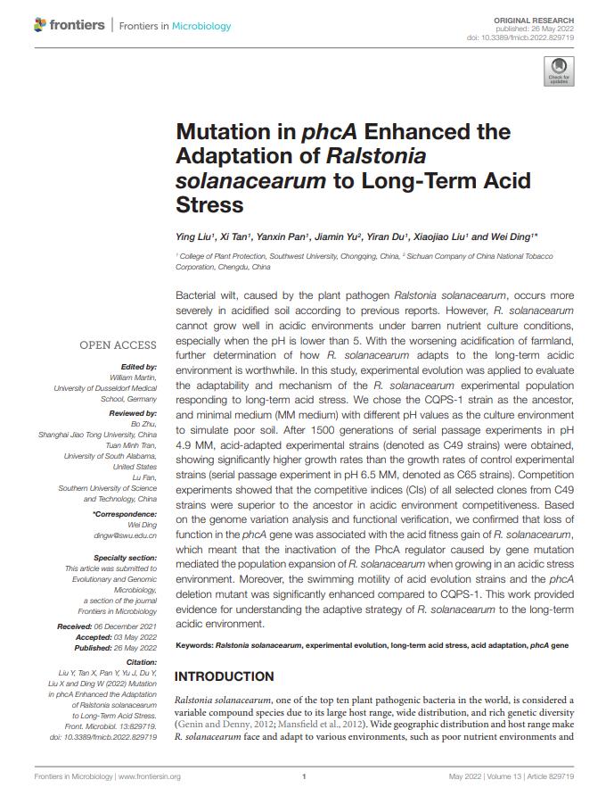 Mutation in phcA enhanced the adaptation of Ralstonia solanacearum to long-term acid stress
