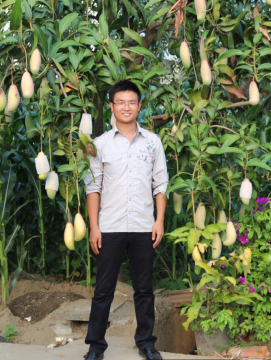 李石力