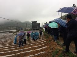 项目组成员参加重庆市烤烟流动现场会