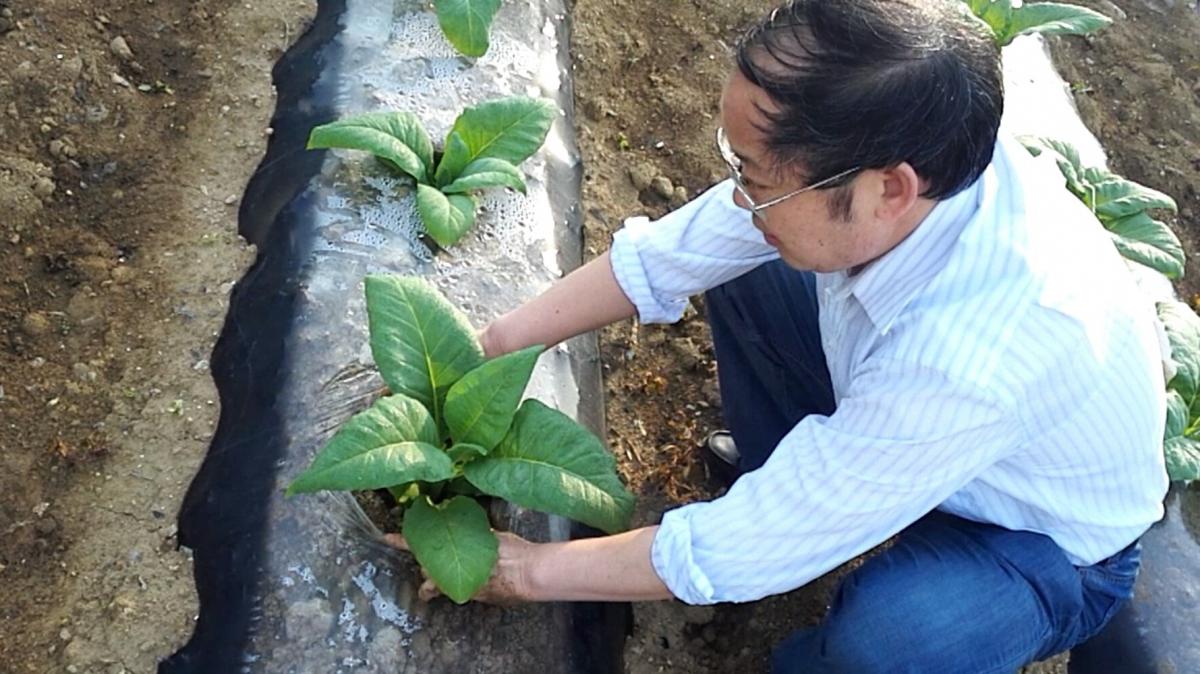 项目组丁伟教授一行四人赴武隆青木池基地调研指导工作