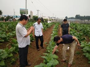 南阳内乡示范区接待相关领导老师考察指导