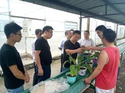 彭水基地单元进行绿色防控工作自查