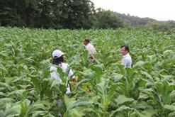 张永强副教授一行赴四川泸州和宜宾进行调研与取样