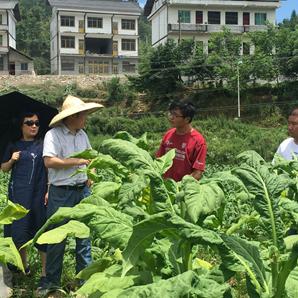 丁教授一行赴正安基地考察取样