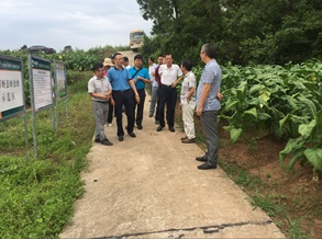剑门关基地根际微生态调控示范区迎接四川省烟草公司科技处中期检查