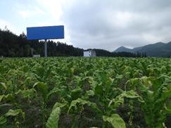 彭水润溪基地单元2017年度科技项目中期检查顺利完成