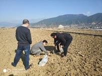 2018年四川省烟草根茎病害绿色防控项目凉山地区方案对接工作顺利开展