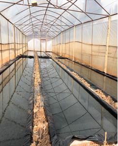 项目组赴攀枝花落实基质拌菌育苗技术