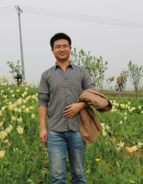 李石力