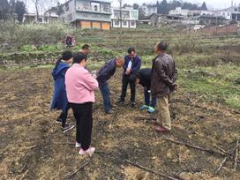 项目组完成2018年宜宾及泸州示范基地对接工作