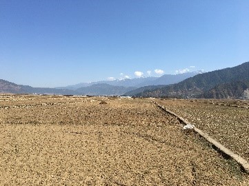 四川凉山州冕宁县石古基地单元烟草移栽准备工作顺利开展