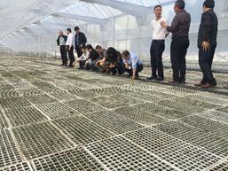 工商研齐聚酉阳苍岭基地单元召开座谈会