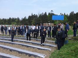 彭水县2018年移栽现场会在润溪顺利召开