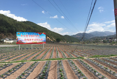 四川凉山益门基地单元开展水施追肥、灌根现场培训会