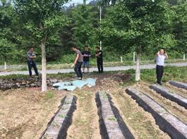 彭水润溪基地单元迎接多方领导老师调研指导