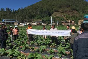 四川凉山益门基地单元开展揭膜上厢及病虫害防控现场培训会