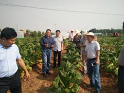 丁伟教授一行到南阳基地调研指导