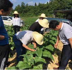 丁伟教授一行赴酉阳苍岭基地单元指导工作