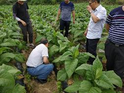 丁伟教授一行赴黔江基地调研指导