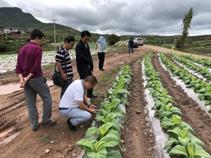 攀枝花市公司张科长一行到平地基地单元检查调研