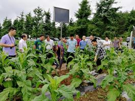 彭水润溪基地单元迎接国家局绿色防控工作检查组检查