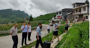 “四川烟草根茎病害发生机制及绿色防控技术研究与应用”项目顺利通过中期检查评估