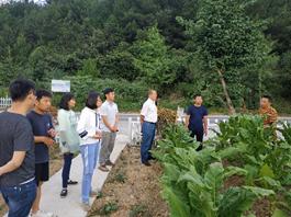 丁伟教授一行赴彭水润溪基地单元调研