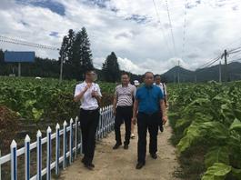 广西人大常委会成员到彭水润溪基地单元参观
