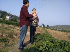 项目组成员赴涪陵选取项目示范与试验用地