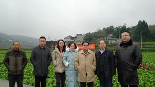 榨菜根肿病发生的微生态调控关键技术研究与应用推进会在涪陵顺利召开