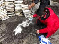 研究室成员赴泸州进行基质拌菌和土样采集工作