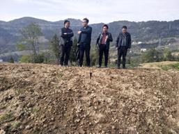 项目组赴石柱落实推进辣椒基地示范基地建设