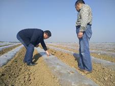 项目组成员赴河南基地落实基地工作