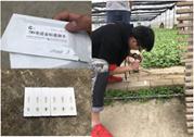 项目组成员赴遵义正安烟草示范基地开展烟苗调研工作
