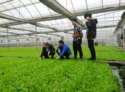 丁伟教授赴彭水润溪基地单元进行基地工作调研