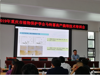 研究室成员参加2019年重庆市马铃薯栽培技术培训会