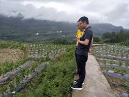项目组赴石柱推进辣椒基地工作建设