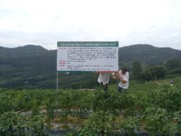 项目组成员赴石柱辣椒基地单元落实工作