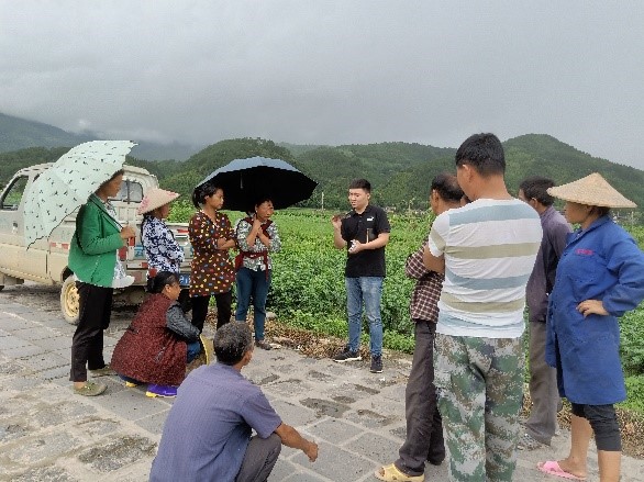 项目组成员赴云南腾冲落实万寿菊叶斑病综合防治示范区工作