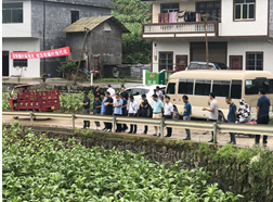 泸州双沙基地单元顺利通过田间鉴评