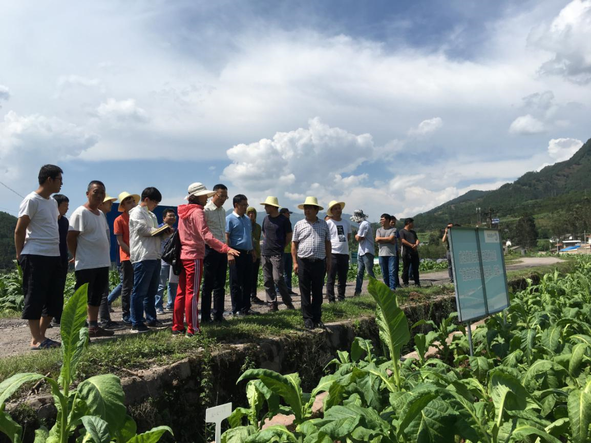 四川省公司2019年度在研科技项目评估凉山会理现场圆满结束