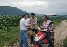 丁伟教授赴冕宁烟草基地进行调研指导