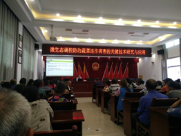 丁伟教授指导三河镇辣椒栽培及病虫害防治