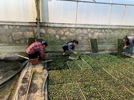 项目组成员再赴涪陵推进榨菜基地建设