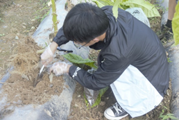 研究室成员赴彭水润溪基地进行样品采集