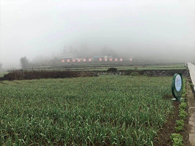 桐梓县九坝镇示范地.jpg