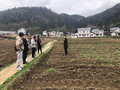 分析试验用地.jpg