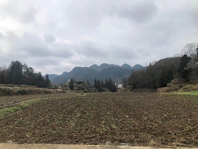 正安县示范地.jpg