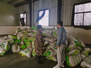 西南大学植保团队赴湖南省湘西基地推进2021年项目工作